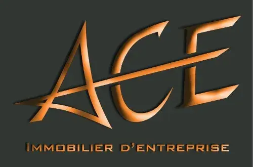 ACE IMMOBILIER D'ENTREPRISE