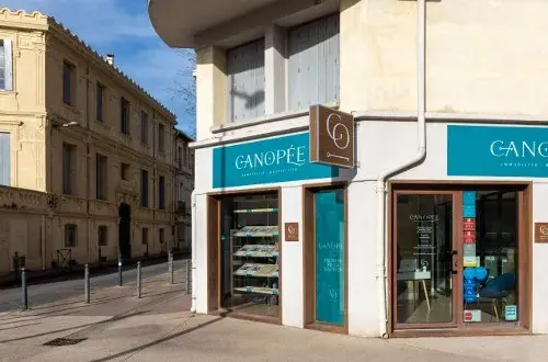 Canopée Immobilier(Vente  Gestion LocationSyndic)