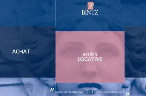 Bintz Immobilier  Vente Location & Gestion immobilière