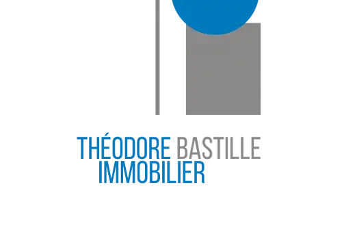 Théodore Immobilier Bastille