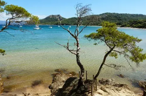 Agence immobilière La Valette du Var Les Clés du Soleil Immobilier La Valette du Var