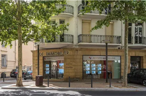 LDJ ImmobilierClemenceau