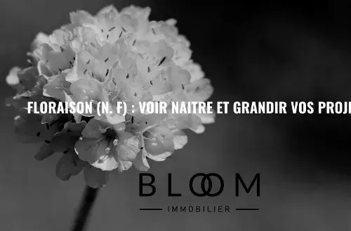 BLOOM Immobilier