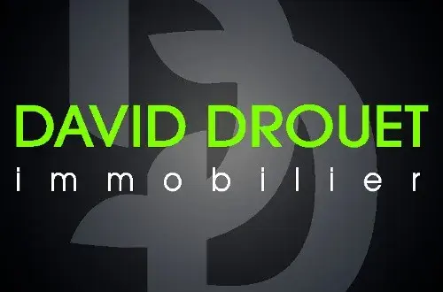 David Drouet Immobilier