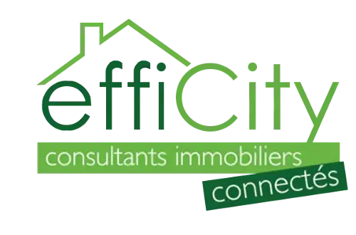 Agence Immobilière Efficity