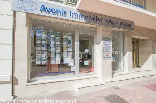 Avenir Immobilier International