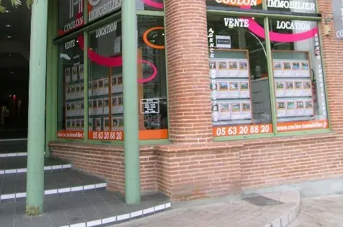 AGENCE COULON IMMOBILIER